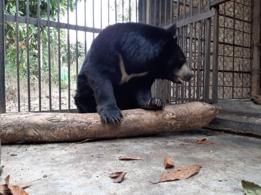 Nagaland Zoological Park